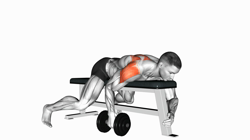 Dumbbell Lying One Arm Rear Lateral Raise