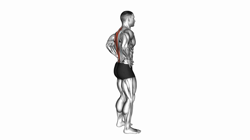 Standing Pelvic Tilt