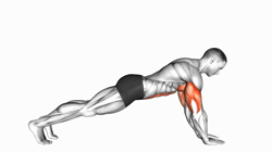 Push-up on Forearms