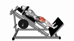 Sled Full Hack Squat