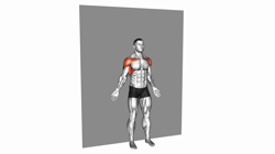 Bodyweight Standing Around World Wall Supported