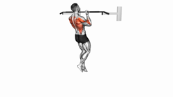 Chin-up (Izometric and Negative)