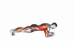 Front Plank with Arm and Leg Lift