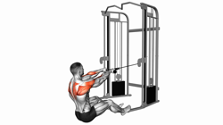 Cable Seated Face Pull (With Rope)