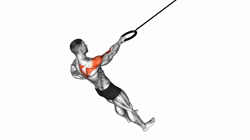 Ring Single Arm Rear Delt Row