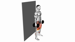Dumbbell Banded Wall Sit