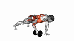 Dumbbell Plank Row