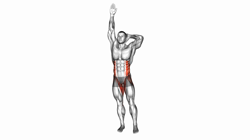 Standing Balance Fist-up Side Leg Raise