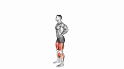 Countermovement Jump Arms on Hip